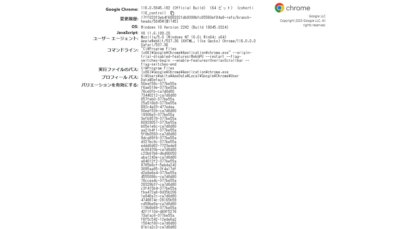 Chrome バージョン情報