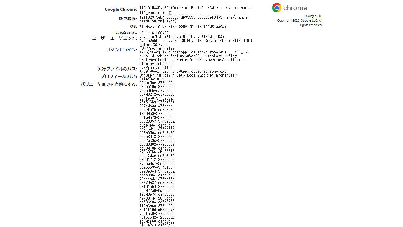 Chrome バージョン情報.png