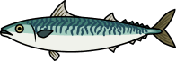 fish_10.png