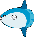 fish_11.png