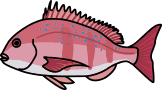 fish_13.png