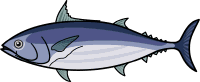 fish_15.png