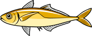 fish_16.png