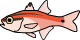 fish_4.png