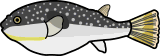 fish_5.png